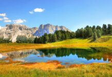 Polska i Słowacja – wymiana handlowa bez tajemnic