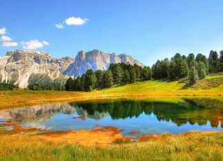 Polska i Słowacja – wymiana handlowa bez tajemnic