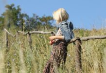 Festyny i wydarzenia regionalne, które warto odwiedzić