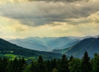 Kto pracuje na Słowacji? Struktura zatrudnienia