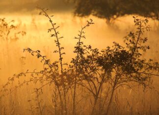 Gdzie znaleźć ukryte perełki z dala od turystów?