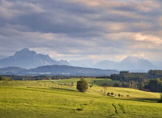 Inwestycje zagraniczne w Słowacji – przegląd najważniejszych projektów