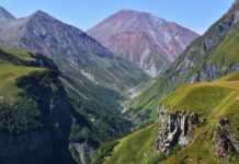 Gdzie znaleźć dziką przyrodę w Słowacji – najciekawsze rezerwaty