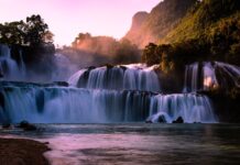 Bryndza – skarb słowackich pastwisk