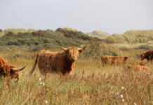 Edukacja a rynek pracy – czego brakuje w słowackiej gospodarce?