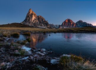 Przepis na słowackie buchty na parze