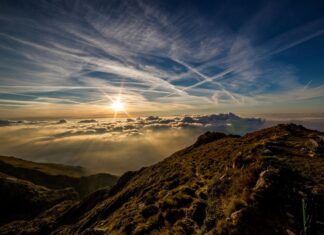 Specjalne strefy ekonomiczne na Słowacji – jak działają?