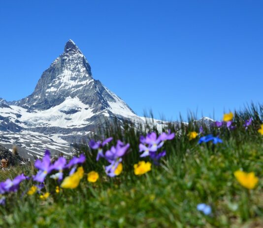 Instrumenty ludowe Słowacji – fujara, dudy i więcej