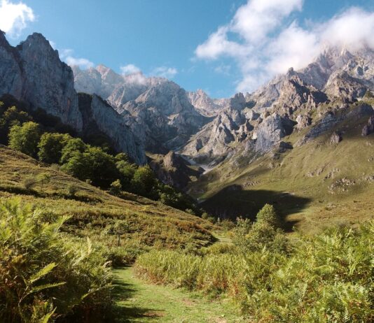 Przemysł, rolnictwo, usługi – co dominuje w gospodarce Słowacji?