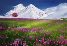 10 najpiękniejszych miast Słowacji