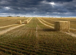 Dzieciństwo na Słowacji – opieka, edukacja i wychowanie