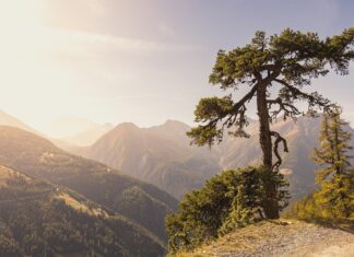 Historia przemysłu ciężkiego na Słowacji