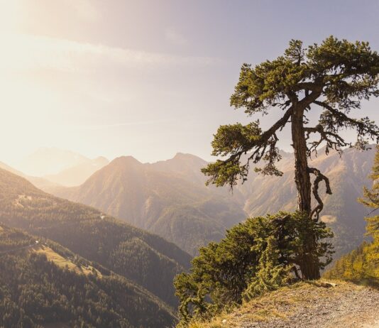 Północ kontra południe – który rejon lepszy na urlop?