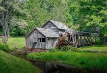 Biblioteki z historią – skarby wiedzy i literatury