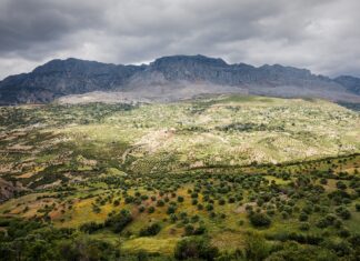 Nowe technologie i innowacje w słowackim biznesie