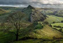 Jak Słowacja radzi sobie na globalnym rynku?