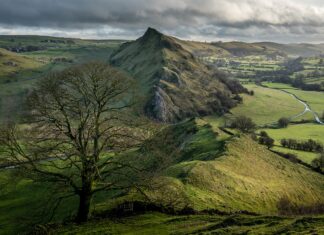 Jak Słowacja radzi sobie na globalnym rynku?