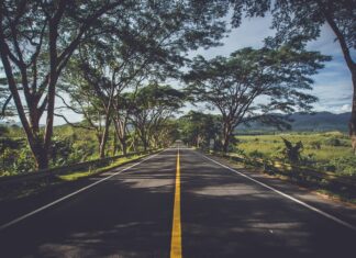 Weselne obrzędy i zwyczaje w regionach Słowacji