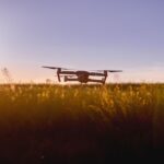 Dron filmujący pole o zachodzie słońca z perspektywy lotu ptaka
